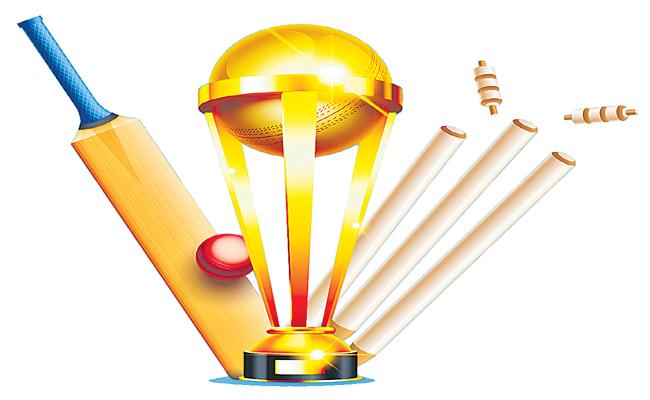Indian Cricket Boom Draws Big Money from US Investors