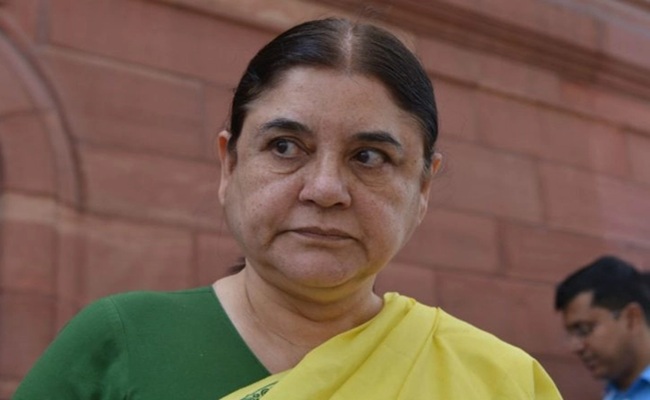 Maneka opposes 'Rappa, Rappa' at Gangamma jatara!