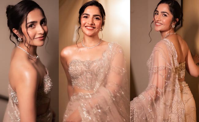 HOT: Stunning Poses Of Sandalwood Beauty