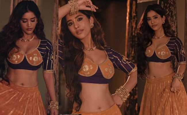 HOT: Nabha's Glamorous Midriff View