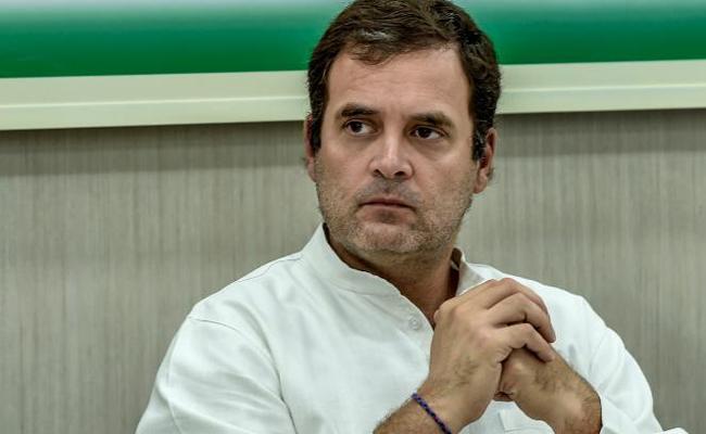 Rahul Gandhi nears 100th defeat in politics