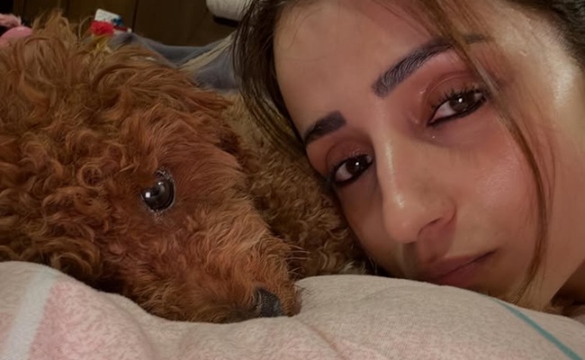 Trisha's Cryptic Post Fuels Buzz Amid Vijay Rumours