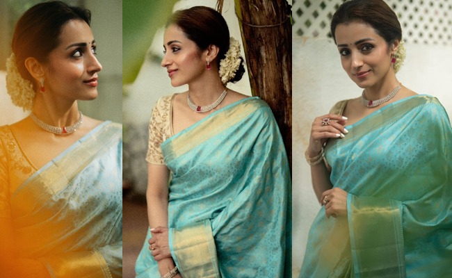 Trisha's 'Love' Message Fuels Vijay Buzz