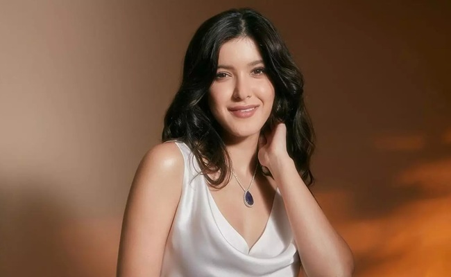 Another Bollywood Beauty Heads to Tollywood?