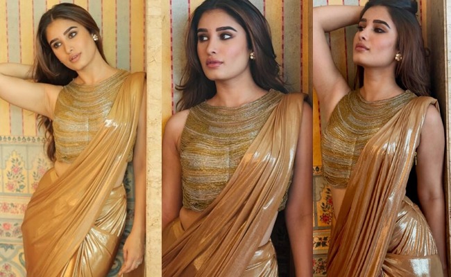 HOT: Rasha Stuns In Metallic Saree