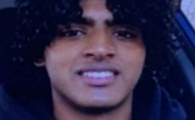 Indian-American teen murders mother, brother in US home