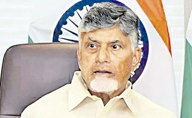 Babu's Plan: One Rajya Sabha Seat For Woman?